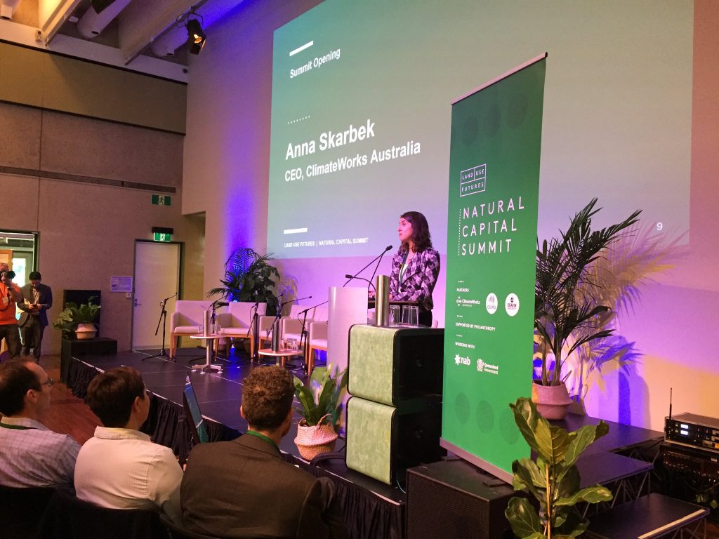 Anna Skarbek presenting at the natural capital summit