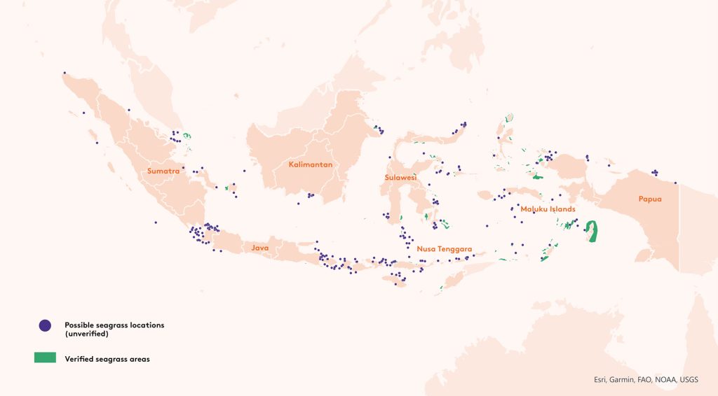 Possible seagrass locations (unverified)
Verified seagrass areas